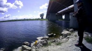 Рыбалка под Берлинским мостом# Ловим густерку#