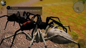 Симулятор ПАУКА #1 Кид стал паучком в Ultimate Spider Simulator 2 на пурумчата