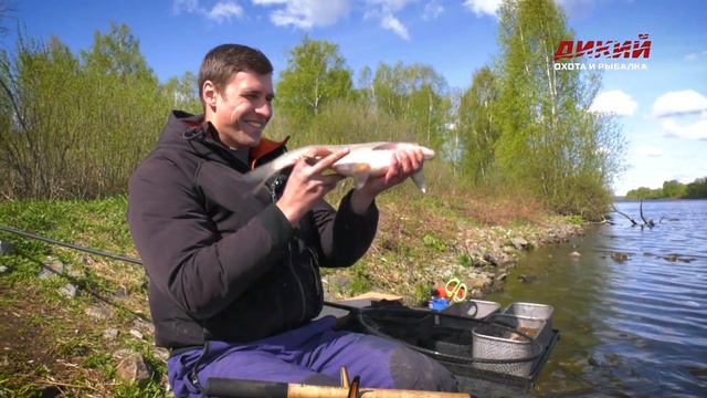 Патерностер. Настоящий фидер. смотреть онлайн