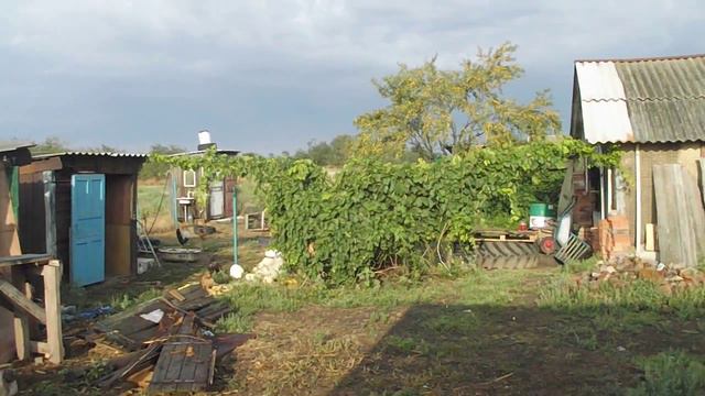 Деревенское утро смотреть онлайн