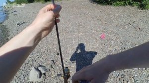 Экспресс рыбалка в Ростове на Дону. Окуневый котел