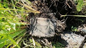 МНОГО МЕДИ И ЛАТУНИ ЗДЕСЬ Я НАШЁЛ. Коп цветного металла