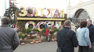 Фестиваль Золотая Осень