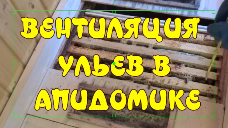 ВЕНТИЛЯЦИЯ УЛЬЕВ В АПИДОМИКЕ. ВЕНТИЛЯЦИЯ УЛЬЯ ЛЕЖАКА. смотреть онлайн