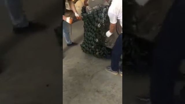 Видеоинструкция установки шинозащитных цепей на колесо погрузчика №1 смотреть онлайн