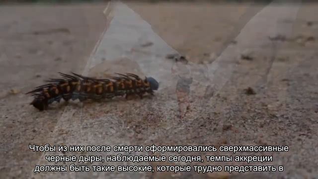 Ученые выдвинули новую гипотезу появления сверхмассивных черных дыр