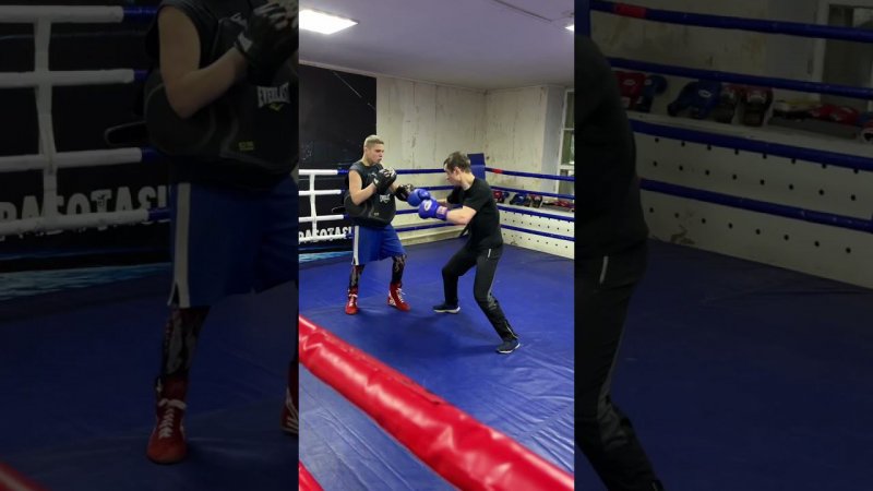 #shorts #boxing