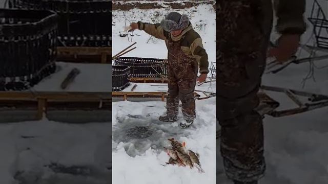 13 февраля 2024 г. смотреть онлайн