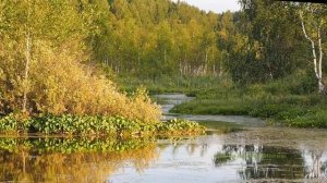 Крепкий сон, Нежная, ласковая,  релакс, антистресс  Скажи Жизни ДА!