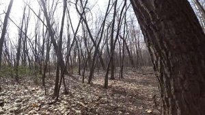 ? Как живут в Европе. Польша. Спальный район Катовице.