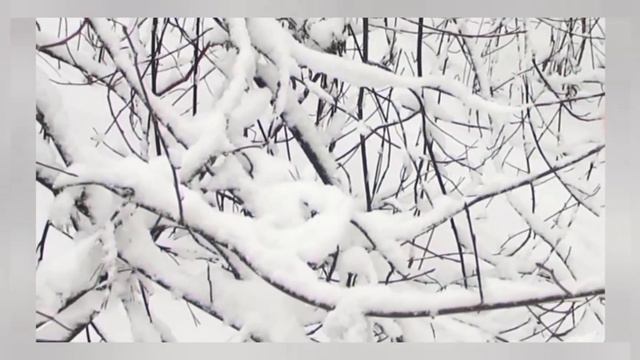 Мои минуты откровения🌀Все проблемы начинаются с детства🤦♀️ смотреть онлайн