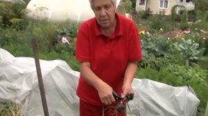 Голова садовая. Зачем подкапывать чеснок