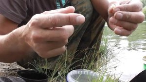 Плотва на перловку. Река Сок, Самара. Fishing rod float
