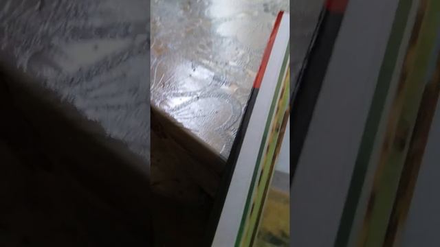 детская энциклопедия Большие Кошки смотреть онлайн