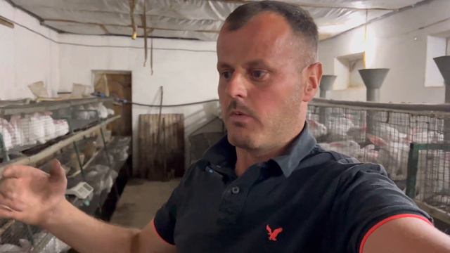 Як продати м‘ясо кролів влітку смотреть онлайн