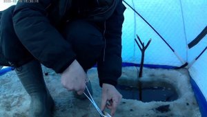 рыбалка на амуре на резинку 19.02.23