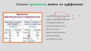 Причастие/ краткие и полные причастия/ действительные и страдательные причастия/7 класс/ ОГЭ-ЕГЭ