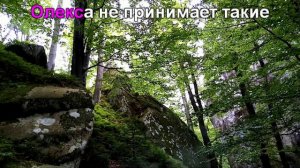 Карпаты _Сказочные скалы