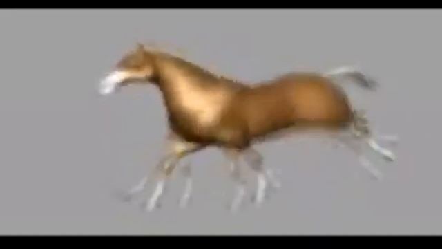 конь бежит один час смотреть онлайн