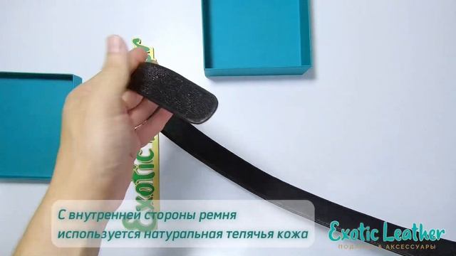 Красивый недорогой ремень из кожи морского ската с пряжкой автомат
