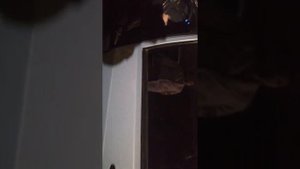Ваз 2114 на АКПП