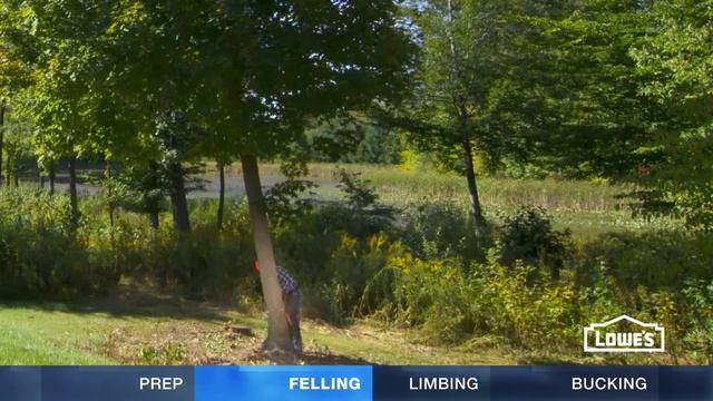 How To Cut Down A Tree смотреть онлайн