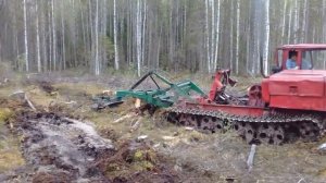 Подготовка почвы в лесу