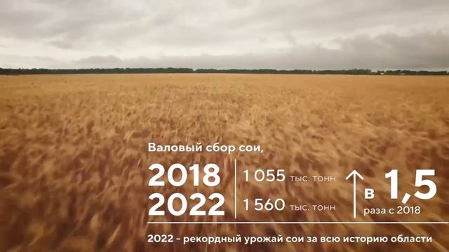 Информационный ролик о отрасли Сельское хозяйство в Амурской области