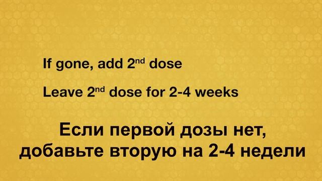 Как лечить пчел от клеща Варроа препаратами на основе эфирных масел? Апигард, АпилайфВар и Таймовар смотреть онлайн