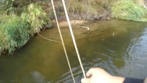 Щучья гроза или бенефис Mottomo Aringo 130SP.