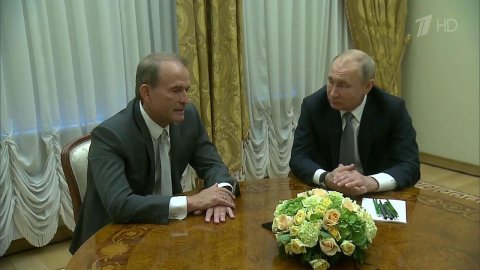 Владимир Путин встретился с автором мирного плана по Донбассу Виктором Медведчуком