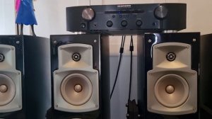 Yamaha Speaker NS-F350 Loa cột đỉnh của hãng. Công suất 250 Watt. #yamahaspeaker #loayamaha #ns_f35