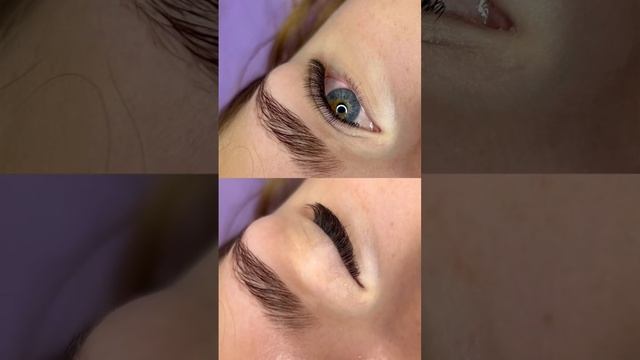 Наращивание ресниц Ресницы 2Д #наращиваниересниц #ресницы #lash #lashes #стрелки #2д