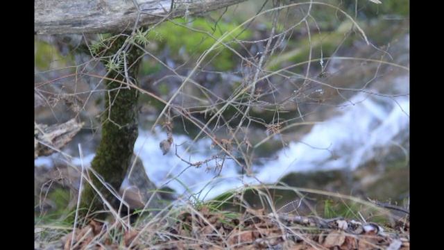 Serbia scenic Instrumental - MJM смотреть онлайн