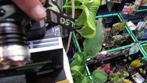 Купить налобный фонарь! Магазин Гаджет Парк. Новые модели налобных фонарей! Скидки для подписчиков!