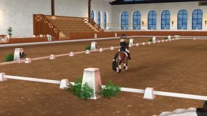 Соревнования в клубе Ice Queens Inc | Star Stable | Двоеборье | Выездка и конкур
