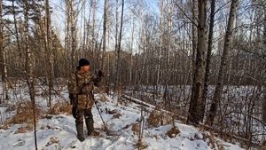 Загонная Охота на Косулю. Добыл Трофейного Козла.