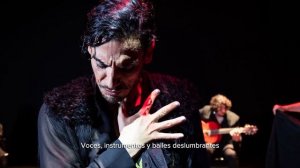 Authentic Flamenco, Producción del Teatro Real de Madrid en el Teatro del Bicentenario RPS