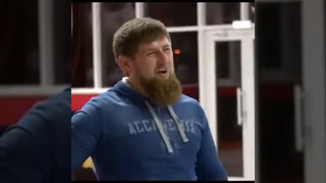 HABIB ДАР ЗАЛ смотреть онлайн