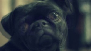 Do You Like Internet Exploder ? Slinky.me