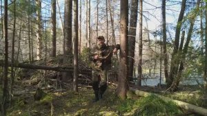 Эпизод 2: Тверская область, Удомельский район, бобры меняют лес