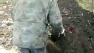 мотоблок кутаиси пахота