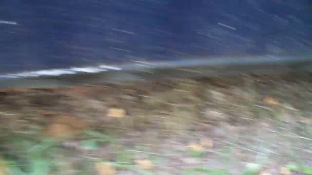 BMW E21 / Грибные места / смотреть онлайн