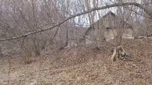 шамордино женский монастырь Калужская область