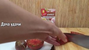 Томат ШАЙБА! Он точно вас удивит!!!Обзор в теплице и дегустация! Дача Удачи