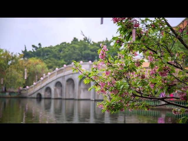 Клиника Разумного Человечества