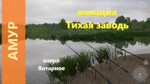 Русская рыбалка 4 - озеро Янтарное - Амур в зарослях камыша