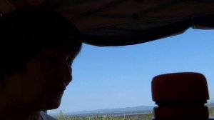 Морской гребешок. Кушаем сырым.