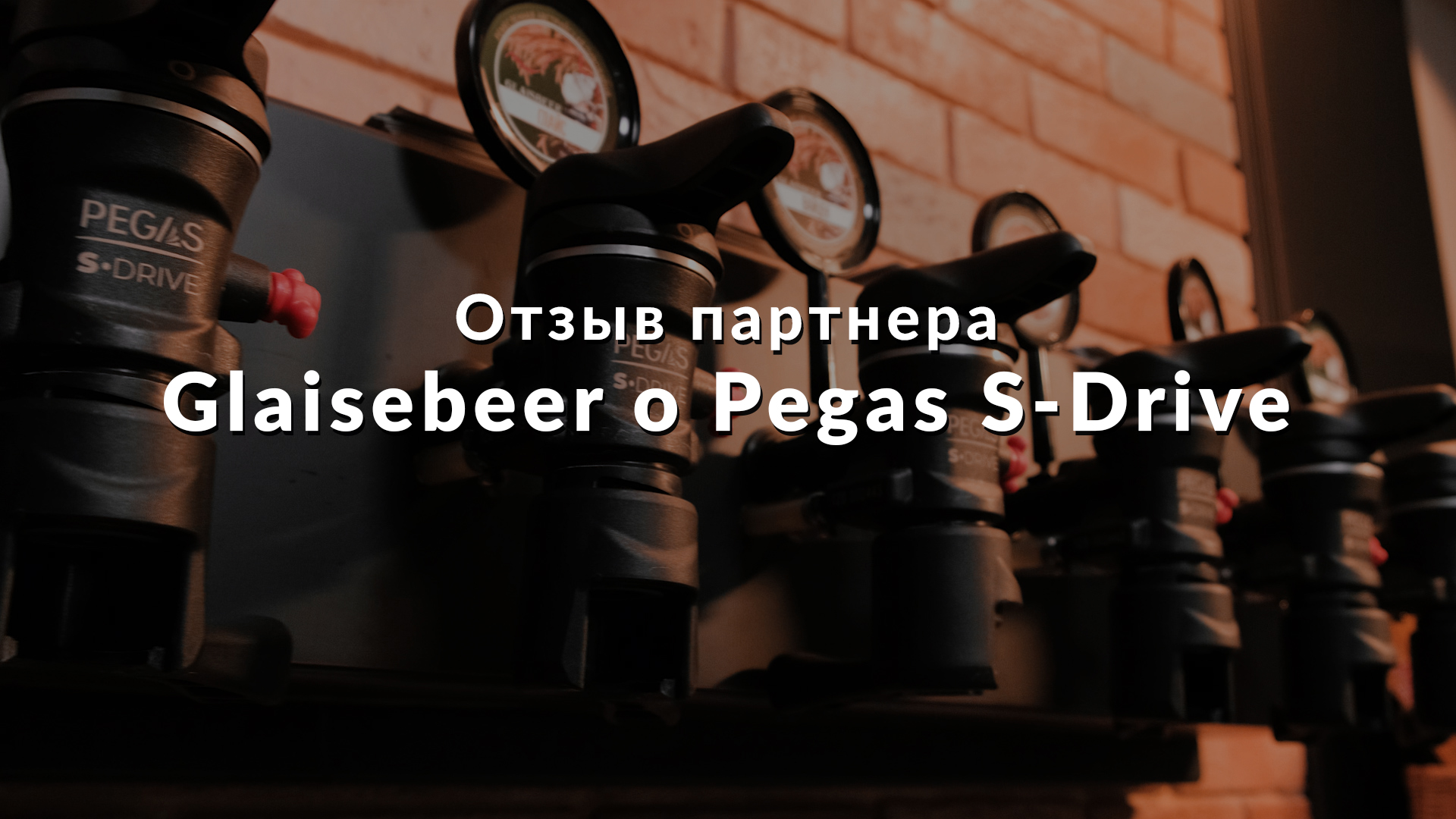 Пегас драйв. Запчасти Pegas Neo Classic.