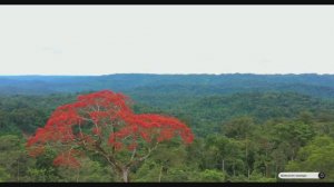 #Islam#Quran#AlFath#ٌMinshawiy#Коран#АльФатхь#СамыеКрасивыеМеста#Relaxation#4кВидео#3часть#